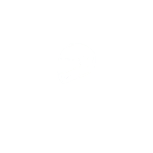 6th Gear Co.